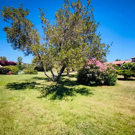 Cala D'ambra Apartment